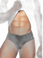 2 Pack Men's Ultra-Soft Modal Breathable Mesh Ice Silk Briefs