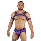 Mr S Leather Neoprene Bulldog Harness| Purple