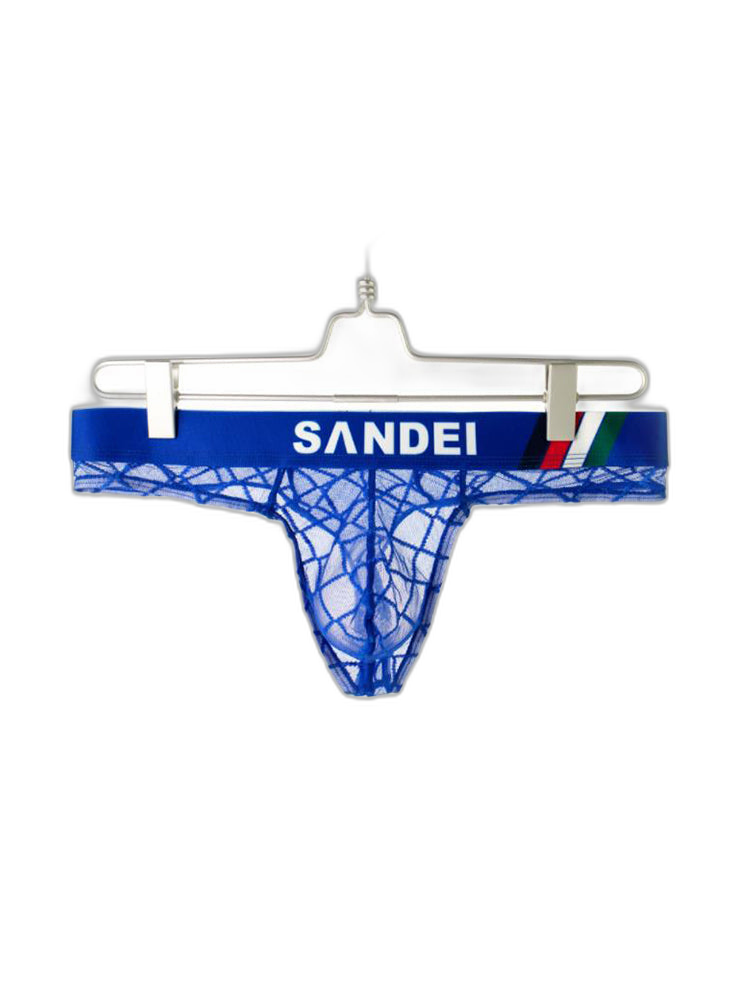 3 Pack Men's Low-Rise Lace Sexy Mesh Briefs And Thongs