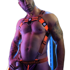 Breedwell Futura Body Harness Neon Orange