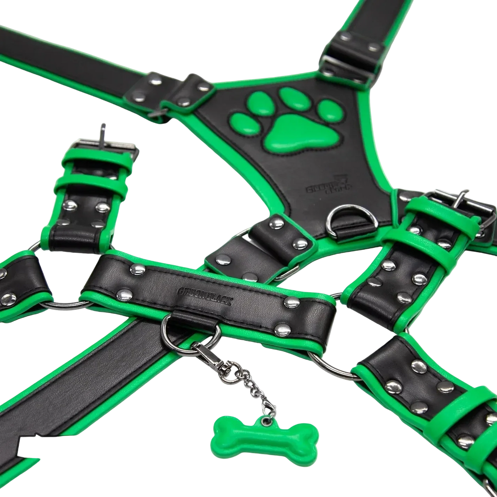 PU Leather Puppy Harness
