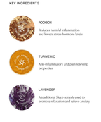 MISSION SLEEP Rooibos Powder x30 Sachets (Turmeric + Lavender)