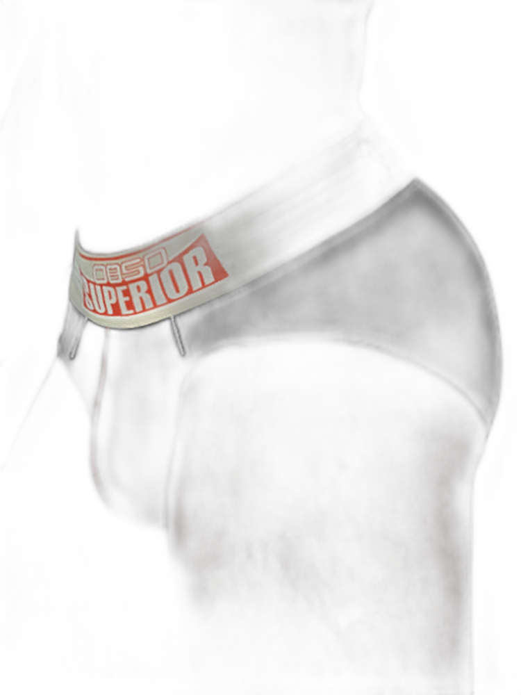Men’s Elasticated Waistband Low-rise Pouch Briefs