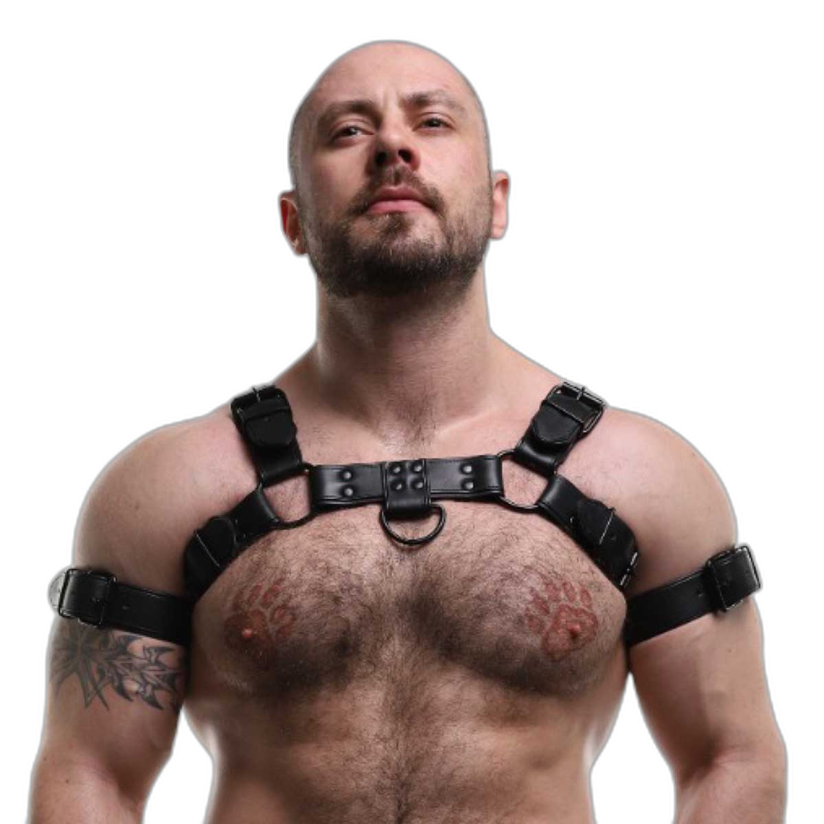 ruff GEAR Double Tone Leather Bulldog Harness Black