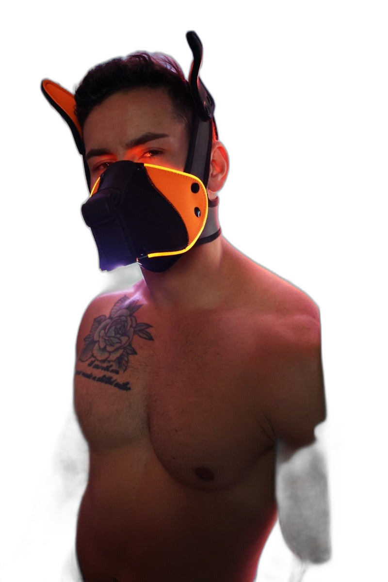 Breedwell Poundtown Pup Mask 2.0 Neon Orange