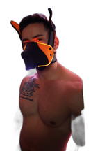 Breedwell Poundtown Pup Mask 2.0 Neon Orange