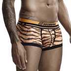 Seobean Tiger Boxers