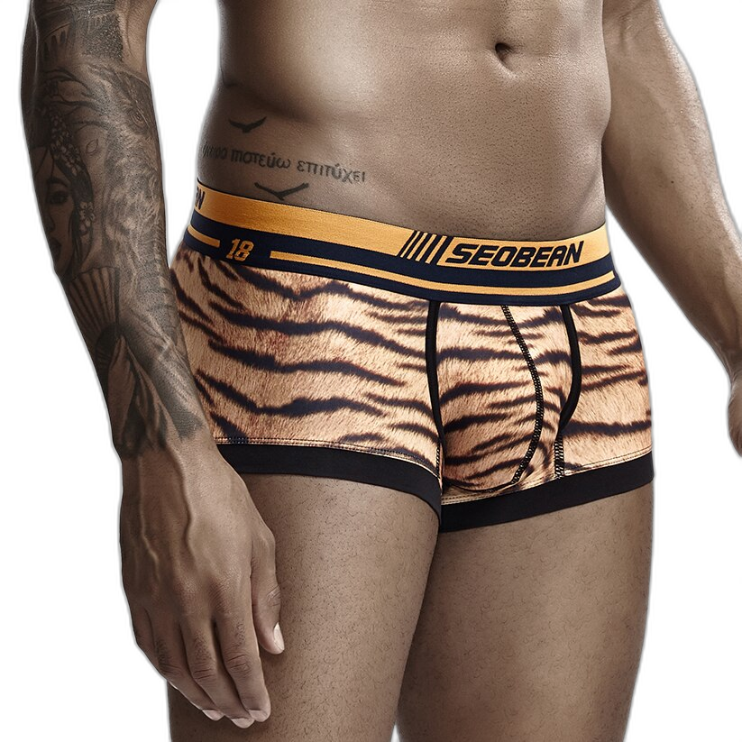 Seobean Tiger Boxers