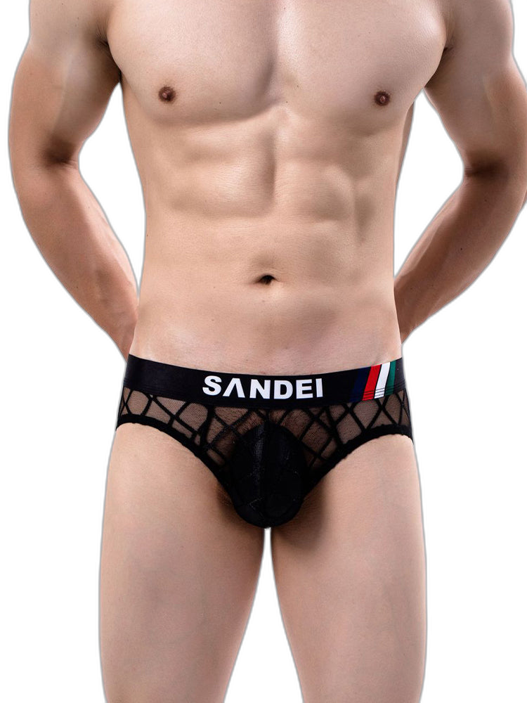 3 Pack Men's Low-Rise Lace Sexy Mesh Briefs And Thongs