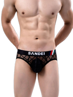 3 Pack Men's Low-Rise Lace Sexy Mesh Briefs And Thongs