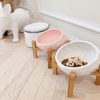 Ceramic Cat Food Bowl Protects The Cervical Spine