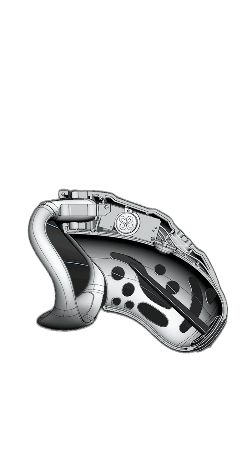 Remote Control Shock Chastity Cage