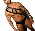 Double Strap Shoulder Harness