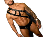 Double Strap Shoulder Harness