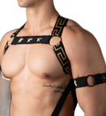 Elegant Gold Star Elastic Harness