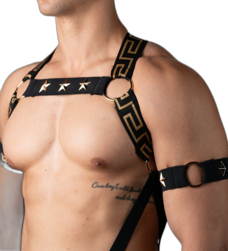 Elegant Gold Star Elastic Harness