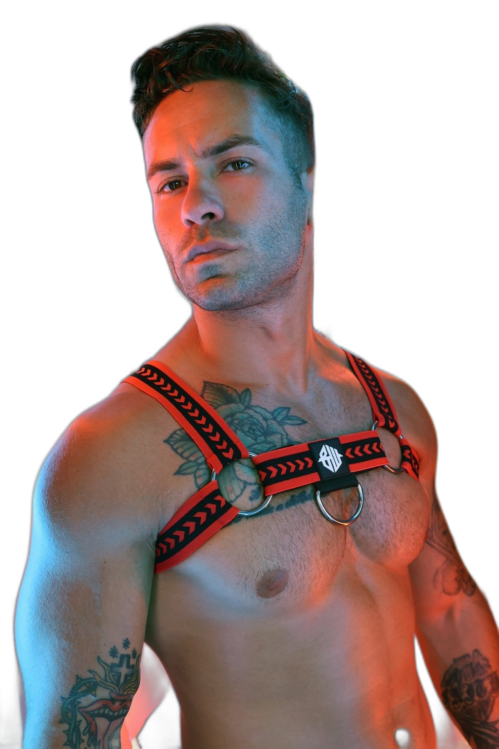 Breedwell Daddys Favourite Bulldog Harness Red
