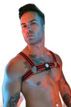 Breedwell Daddys Favourite Bulldog Harness Red