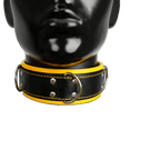 Harness, Cuff, Collar Bundle Yellow
