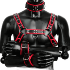 Harness, Cuff, Collar Bundle Red