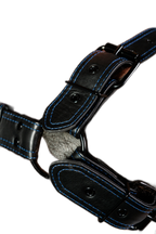 ruff GEAR RAW  Leather Bulldog Harness Black Royal