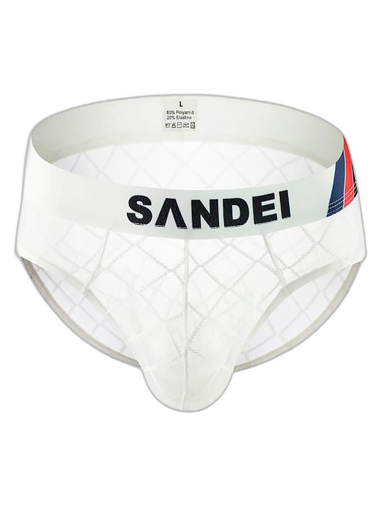 3 Pack Men's Low-Rise Lace Sexy Mesh Briefs And Thongs