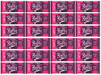 24 x Jamesons Raspberry Ruffle Multipack 5 Pk - 5PK