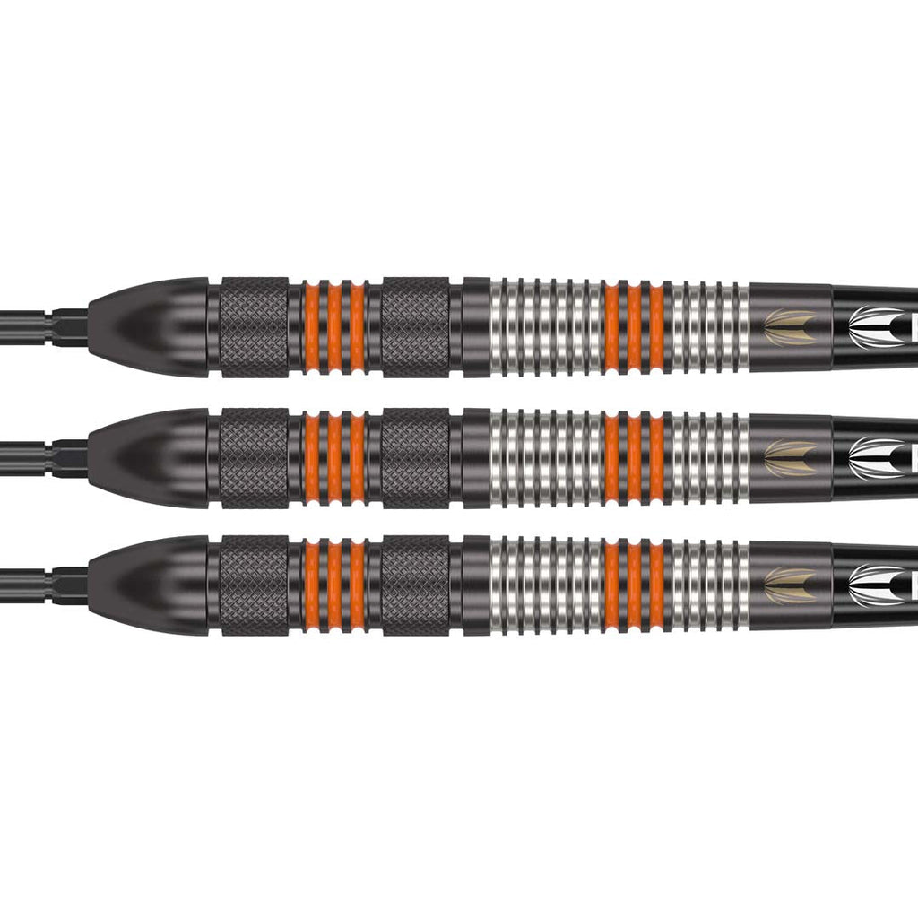 Target Raymond van Barneveld Black 80% Swiss