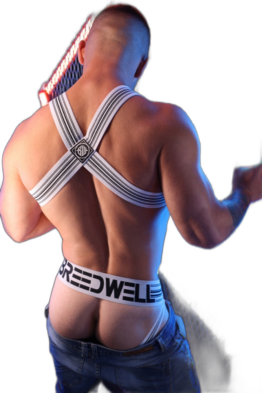 Breedwell Cumdump Bulldog Harness White