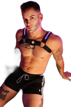 Breedwell Prismaglow Bulldog Harness