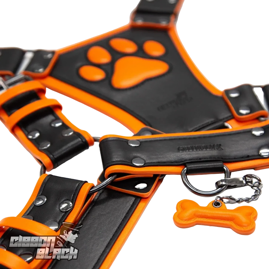 PU Leather Puppy Harness