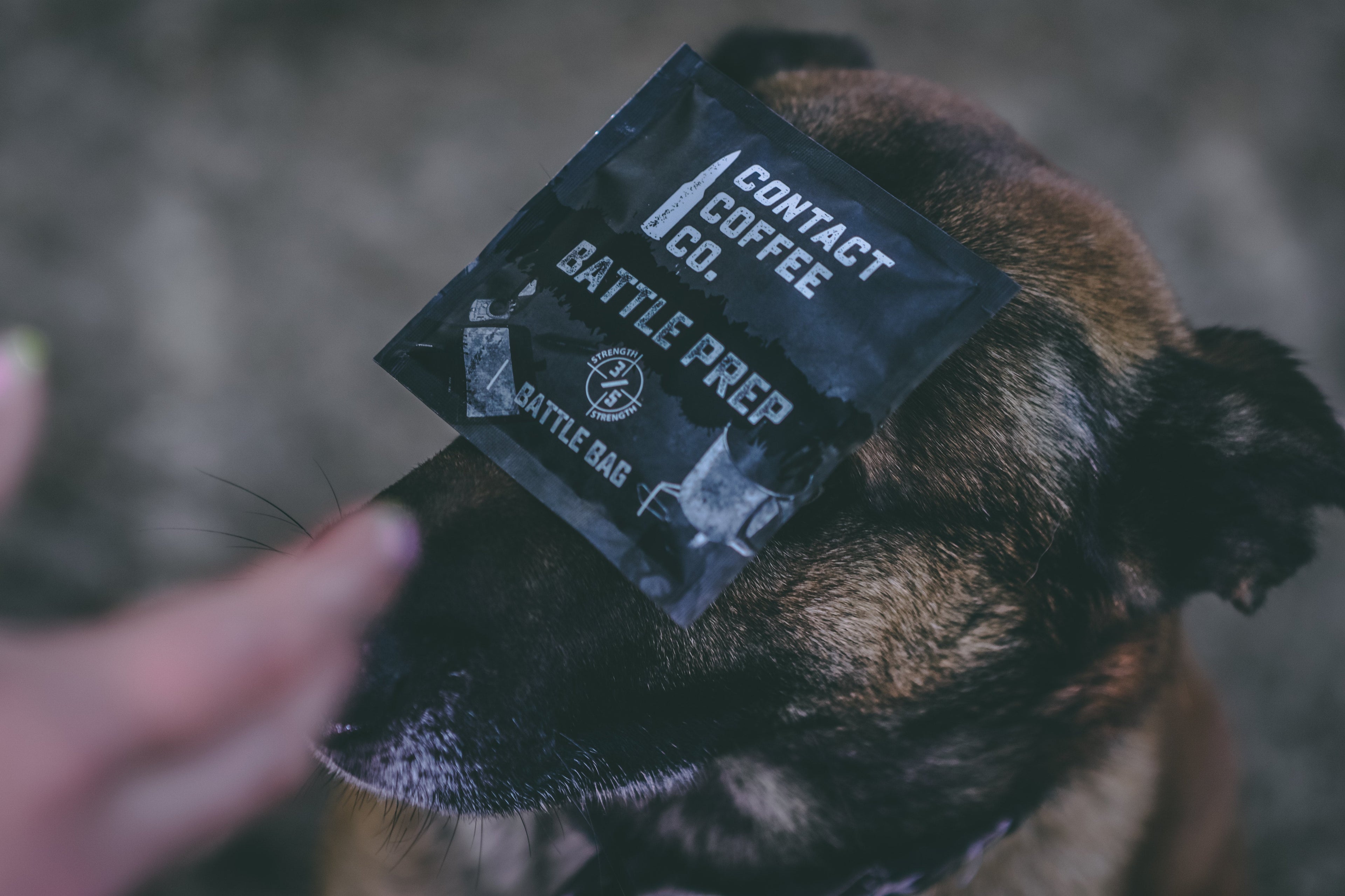 Single Serve Coffee Brew Bags 100 pack | Battle Prep