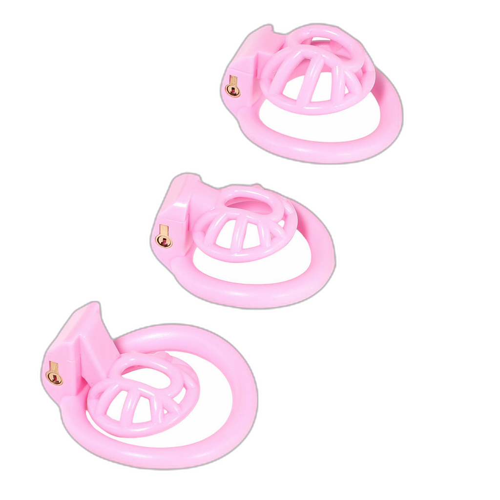 PushTech Chastity Cage With 4 Ring Sizes