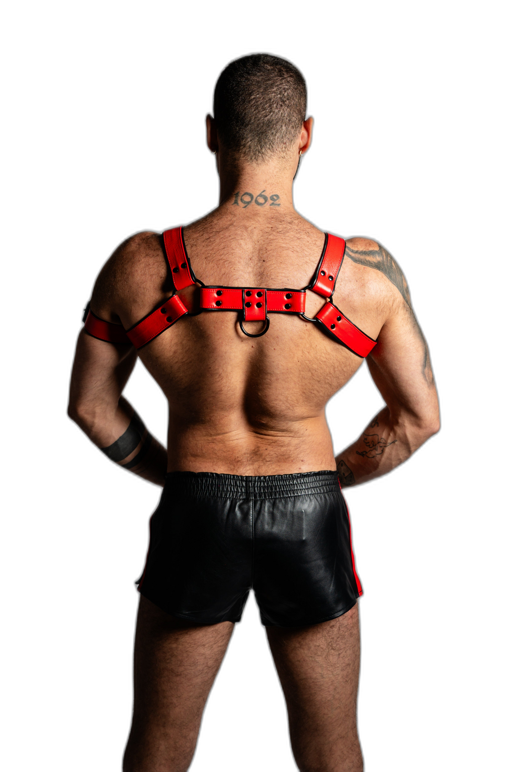 ruff GEAR Bold Leather Bulldog Harness Red