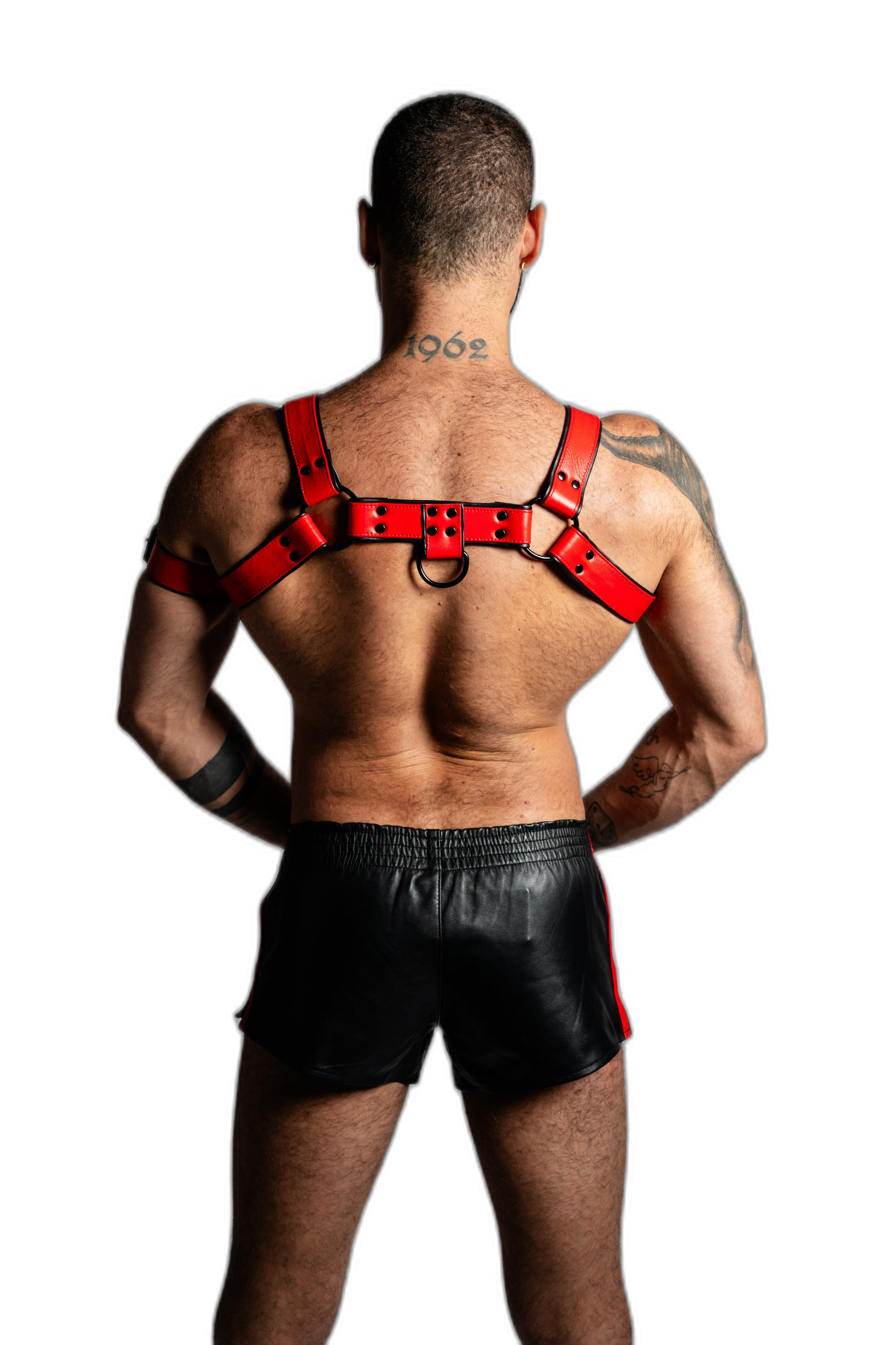ruff GEAR Bold Leather Bulldog Harness Red