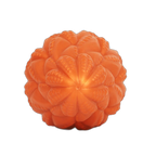 Paul - Tentacle Texture Butt Plug
