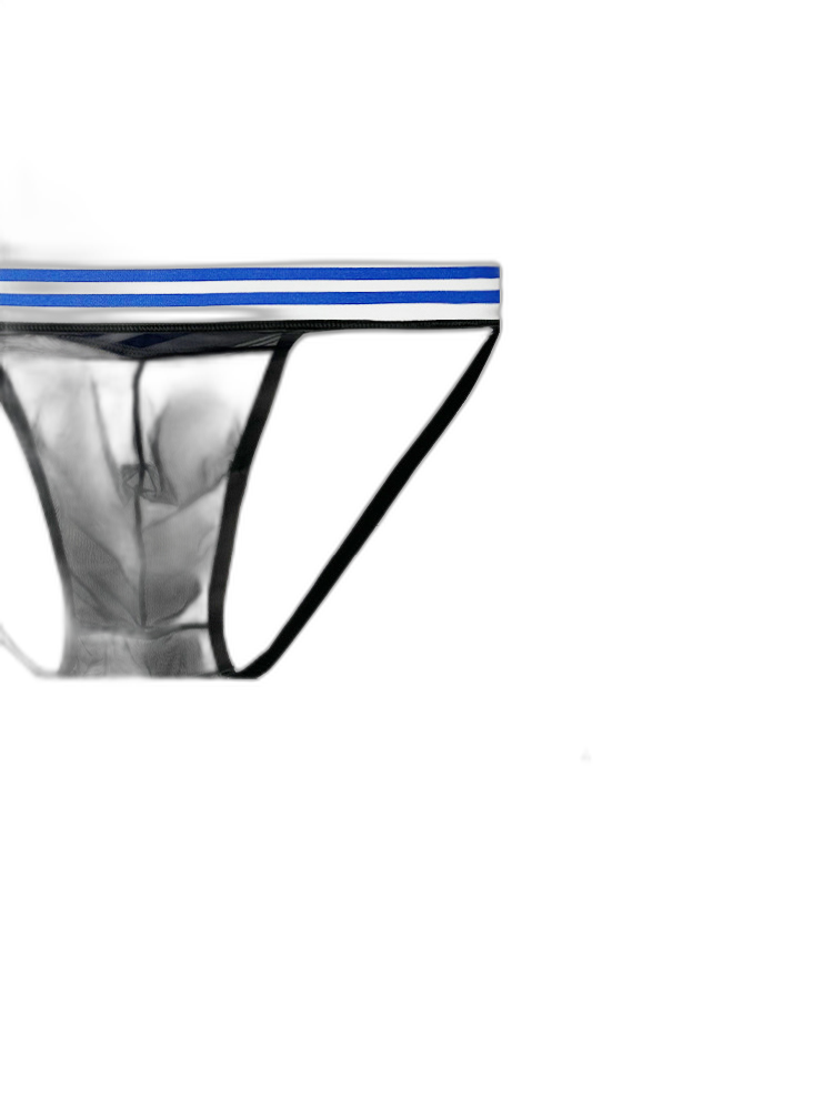 2-pack Men's Sexy Semi-transparent Mesh Briefs