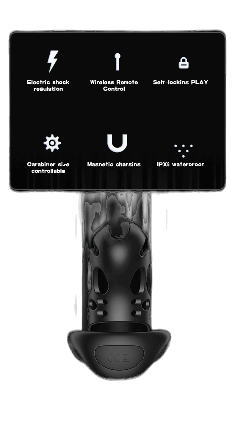 Remote Control Shock Chastity Cage