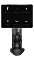 Remote Control Shock Chastity Cage