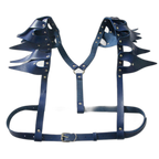 Rogue Talon Shoulder Harness