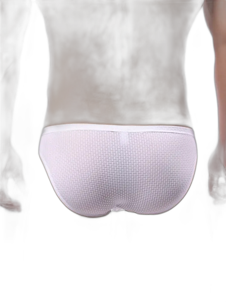 3 Pack Men's Nylon Plaid Lift Hip Briefs Triangle Briefs