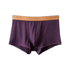 Modal Ultra-soft Solid Mid-waist Men's Boxer Briefs