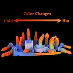 AGNME + TUBE -- Series Color
