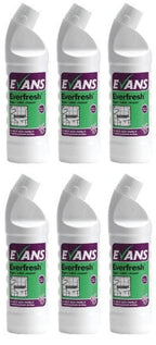 6 x Evans Daily Toilet Cleaner 1Lt X 6