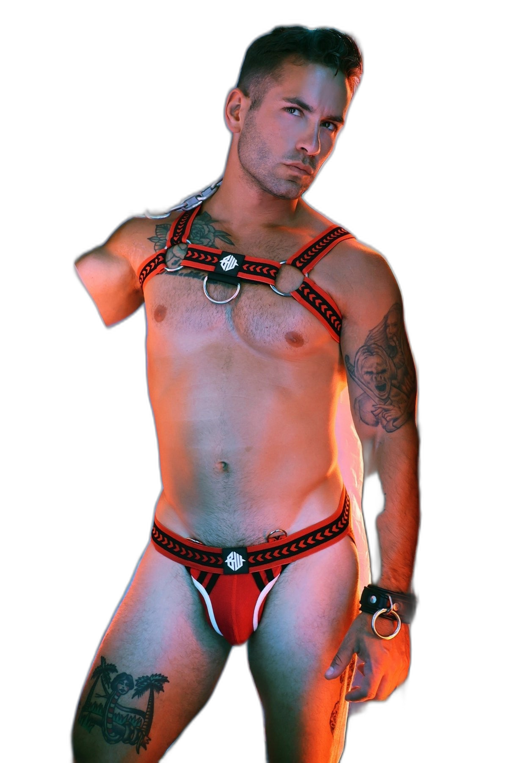 Breedwell Daddys Favourite Bulldog Harness Red