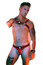 Breedwell Daddys Favourite Bulldog Harness Red