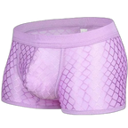 Transparent Mesh Boxers