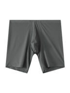2 Pack Men's Mesh Transparent Sports Fitness Loose Boxer Briefs