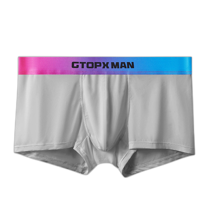 GX Spectrum Boxer Briefs