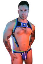 Breedwell Retro Remix Harness Blue